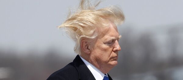 Predsednik SAD Donald Tramp Predsednik SAD Donald Tramp - Sputnik Srbija