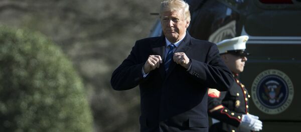 Predsednik SAD Donald Tramp - Sputnik Srbija