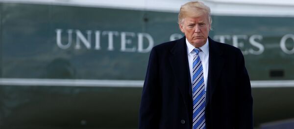 Председник САД Доналд Трамп - Sputnik Србија