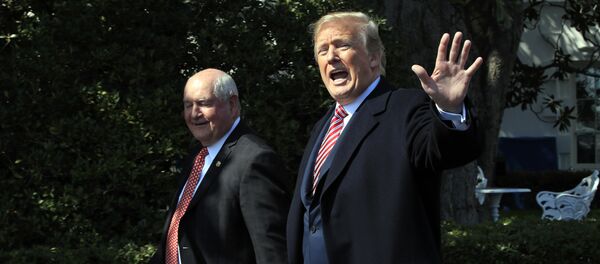 Доналд Трамп - Sputnik Србија