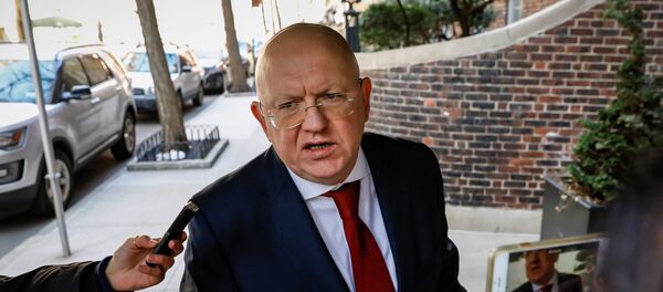 Амбасадор Русије у УН Василиј Небензја одговара на питања новинара Амбасадор Русије у УН Василиј Небензја одговара на питања новинара - Sputnik Србија