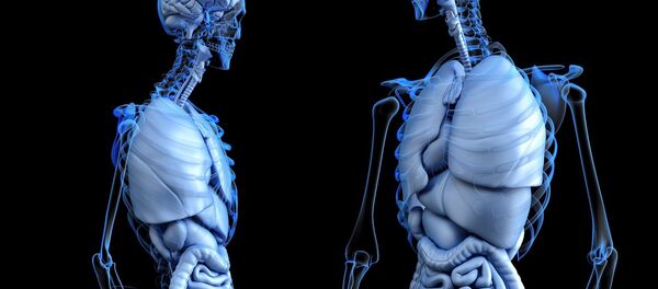 Људско тело - Sputnik Србија