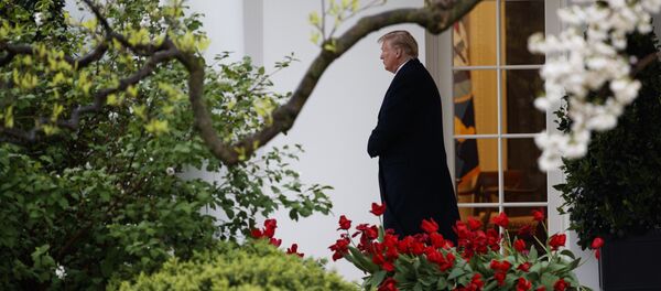 Donald Tramp Donald Tramp - Sputnik Srbija