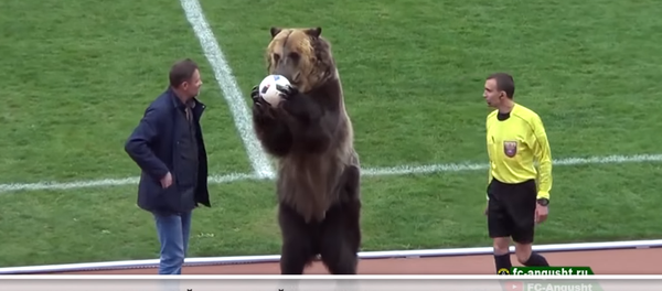 Медвед направио шоу - Sputnik Србија