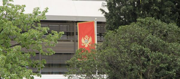 Zastava Crne Gore Zastava Crne Gore - Sputnik Srbija