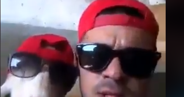 Шашава коза Шашава коза - Sputnik Србија