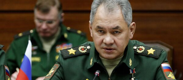 Министар одбране Русије Сергеј Шојгу - Sputnik Србија