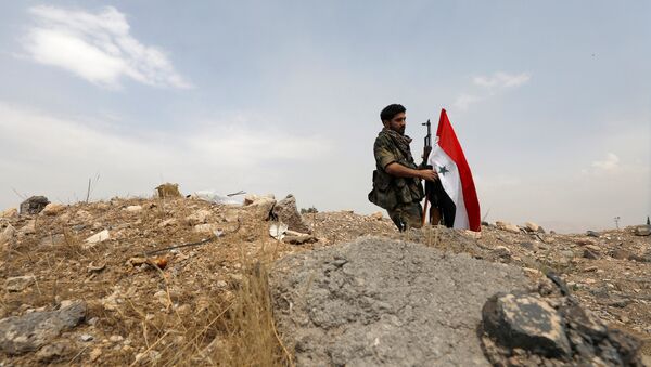 Припадник сиријске војске подиже заставу у близини Дамаска - Sputnik Србија