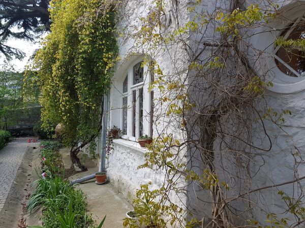 Кажу да је лично Чехов садио дрвеће и растиње и бринуо о њему. - Sputnik Србија