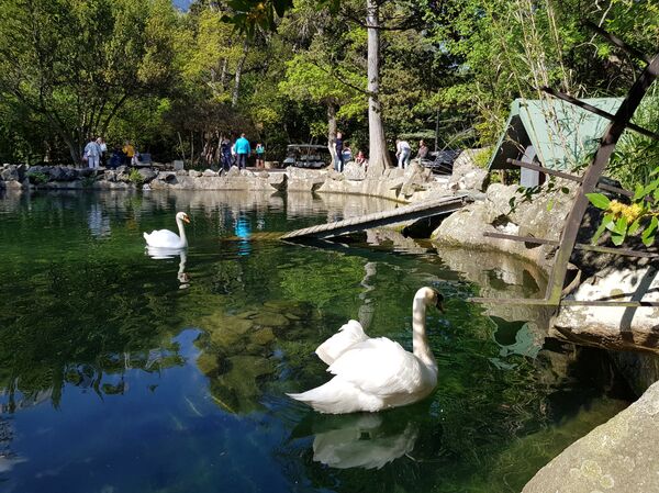 Парк испред дворца Воронцовски на Јалти.  - Sputnik Србија