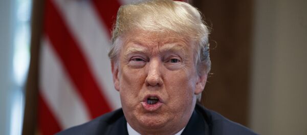 Председник САД Доналд Трамп током састанка кабинета у Белој кући - Sputnik Србија