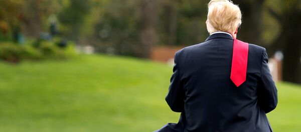 Председник САД Доналд Трамп - Sputnik Србија