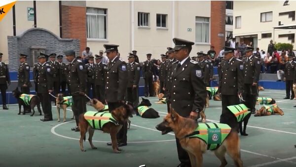 Полицијски пси у Еквадору одлазе у пензију - Sputnik Србија
