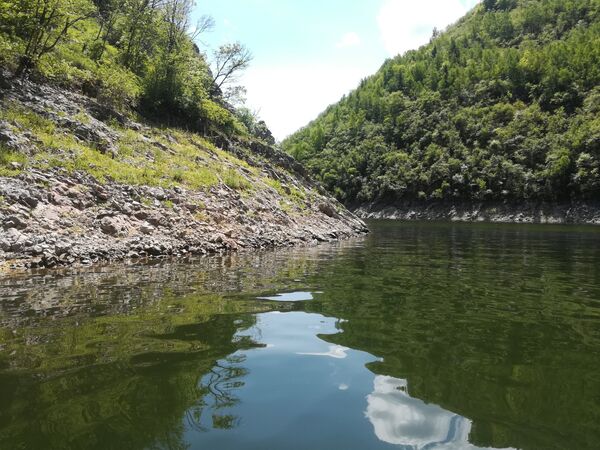Чиста језерска вода дом је за многе врсте риба... Чиста језерска вода дом је за многе врсте риба... - Sputnik Србија