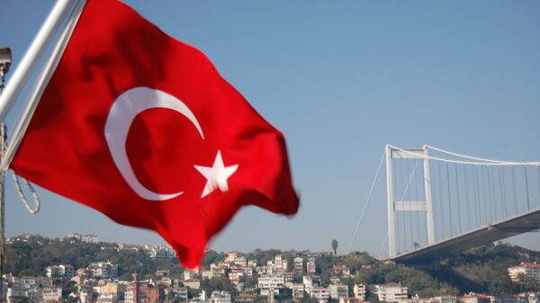 Turska zastava i most preko Bosfora - Sputnik Srbija