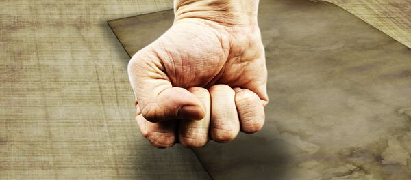 Песница Песница - Sputnik Србија