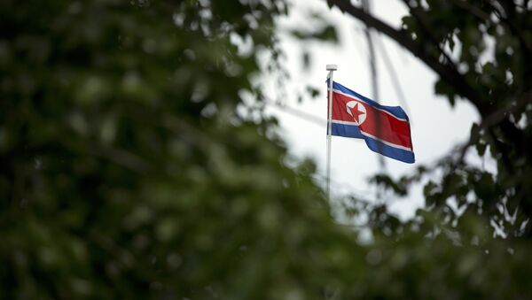 Застава Северне Кореје - Sputnik Србија