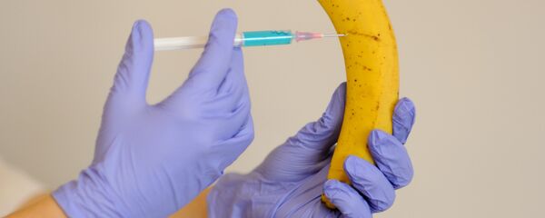 GMO - Sputnik Srbija