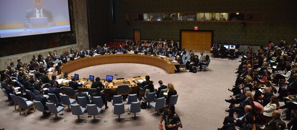 Zasedanje Saveta bezbednosti UN - Sputnik Srbija