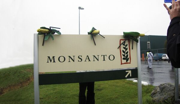 Pritisak na Srbiju da uvede GMO: Opasnost da zakoračimo u zonu bez povratka - Sputnik Srbija