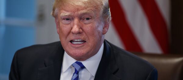 Председник САД Доналд Трамп Председник САД Доналд Трамп - Sputnik Србија