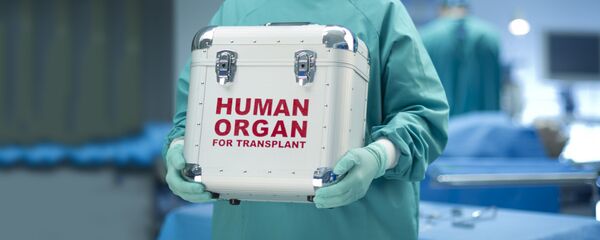 Donacija organa - Sputnik Srbija