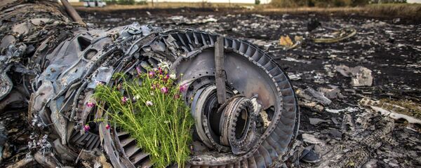 Остаци малезијског авиона Боинг 777 који се срушио изнад Доњецке области - Sputnik Србија