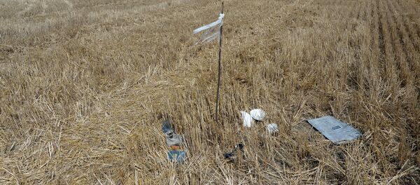 Mesto pada MH17 - Sputnik Srbija