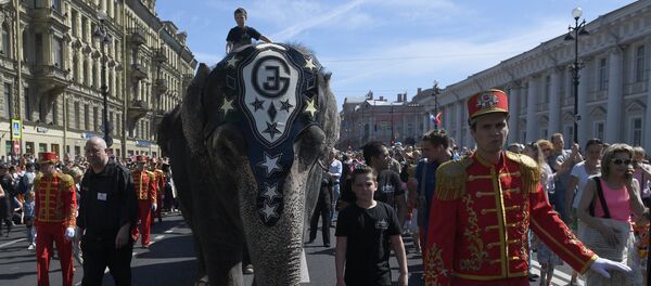 Stanovnici i gosti Sankt Peterburga tokom parade za Dan grada - Sputnik Srbija