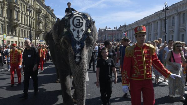 Stanovnici i gosti Sankt Peterburga tokom parade za Dan grada - Sputnik Srbija