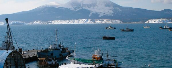 Поглед на вулкан Мендељејева из Јужнокурилска у Сахалинској области - Sputnik Србија