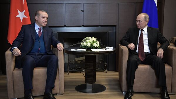 Predsednici Turske i Rusije Redžep Tajip Erdogan i Vladimir Putin - Sputnik Srbija