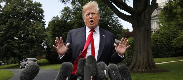 Predsednik SAD Donald Tramp Predsednik SAD Donald Tramp - Sputnik Srbija