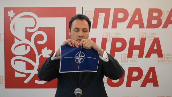 Marko Milačić cepa zastavu NATO - Sputnik Srbija