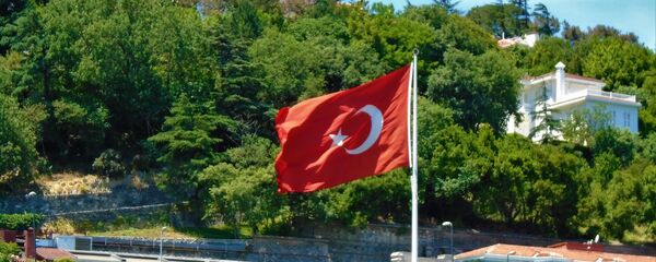 Застава Турске  - Sputnik Србија