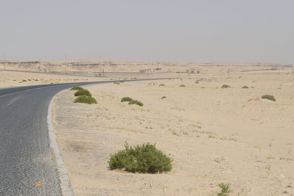 Пут кроз пустињу у Кувајту. - Sputnik Србија