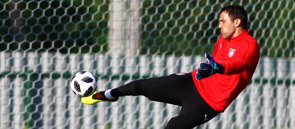Голман репрезентације Србије Владимир Стојковић - Sputnik Србија