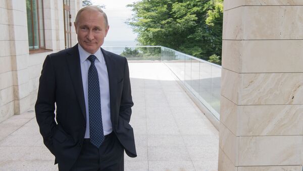 Prezident Rossii Vladimir Putin u Sočiju - Sputnik Srbija