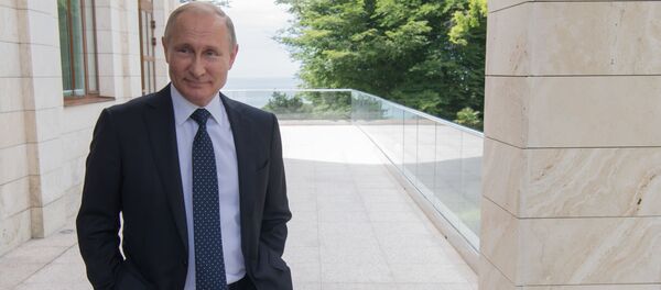 Президент России Владимир Путин перед встречей с федеральным канцлером ФРГ Ангелой Меркель в Сочи Президент России Владимир Путин перед встречей с федеральным канцлером ФРГ Ангелой Меркель в Сочи - Sputnik Србија