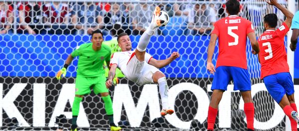 Makazice SM Savića Makazice SM Savića - Sputnik Srbija