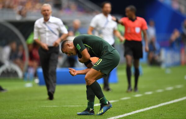 Повређени напдач кенгура Ендру Набу Повређени напдач кенгура Ендру Набу - Sputnik Србија