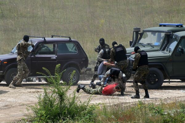 У бази „Југ“, на југу централне Србије, данас је успешно завршена мултинационална вежба „Платинасти вук 18“  - Sputnik Србија
