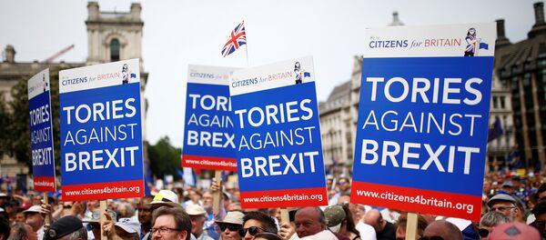 Протести у Лондону против брегзита Протести у Лондону против брегзита - Sputnik Србија