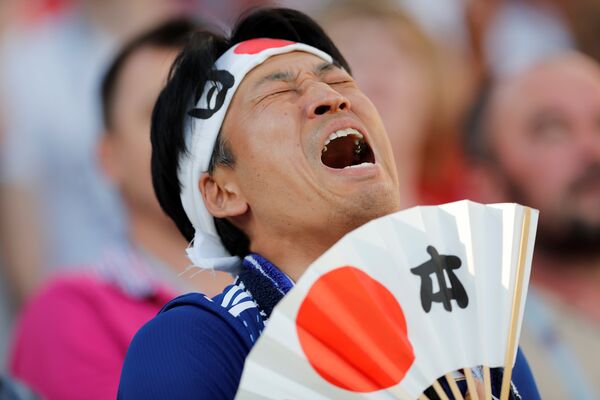 Навијач Јапана Навијач Јапана - Sputnik Србија