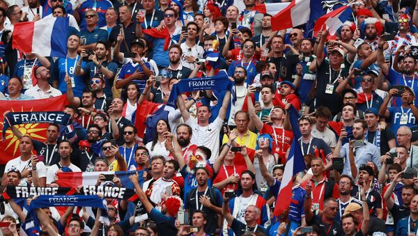 Француски навијачи на утакмици Данска-Француска у групној фази Светског првенства у фудбалу - Sputnik Србија