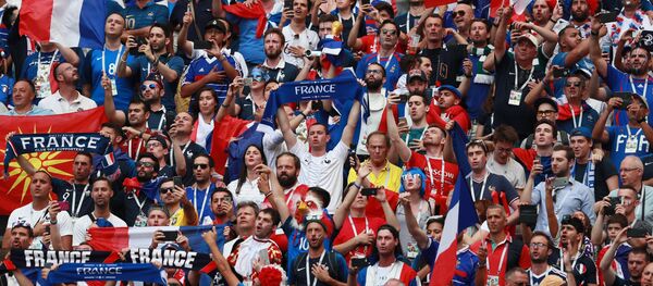 Француски навијачи на утакмици Данска-Француска у групној фази Светског првенства у фудбалу - Sputnik Србија