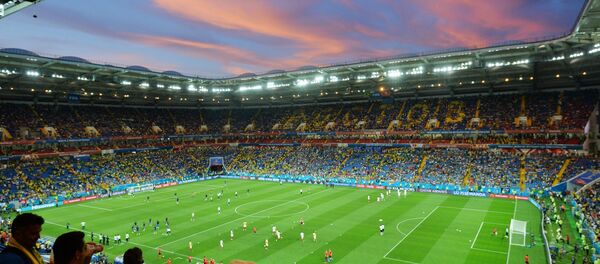 Стадион у Ростову на Дону пред почетак утакмице Светског првенства у фудбалу између репрезентација Бразила и Швајцарске. Стадион у Ростову на Дону пред почетак утакмице Светског првенства у фудбалу између репрезентација Бразила и Швајцарске. - Sputnik Србија