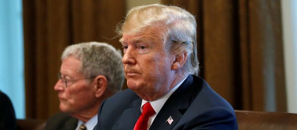 Председник САД Доналд Трамп Председник САД Доналд Трамп - Sputnik Србија