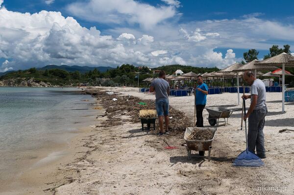 На неким плажама купање још увек није могуће... На неким плажама купање још увек није могуће... - Sputnik Србија