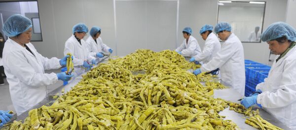 Kineski radnici sortiraju bambus u fabrici u Hangžou u Kini - Sputnik Srbija